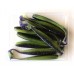 Силіконка для риби, Taipan Easik, 3,0 дюйма, 10шт/уп, колір №16 Violet chartrease neon